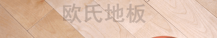 枫木体育地板销售