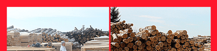 篮球木地板的品牌特点