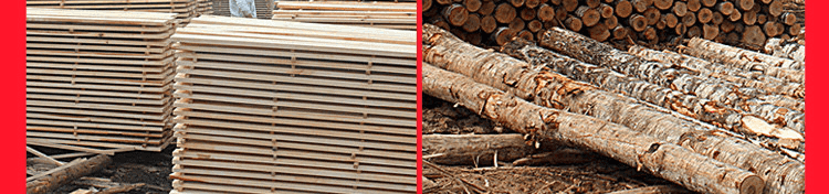 篮球木地板品牌大全