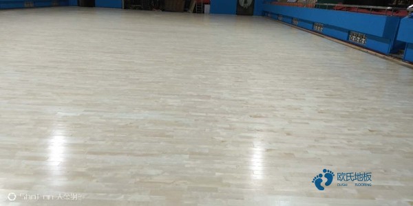 枫木运动地板的特点是什么？