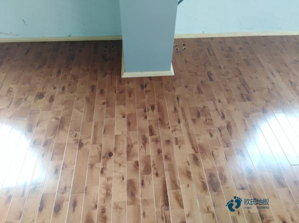 德国原木限制砍伐对我国影响几何