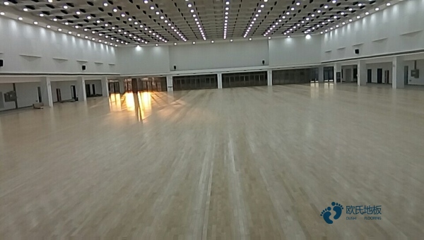 运动木地板施工工艺cad2