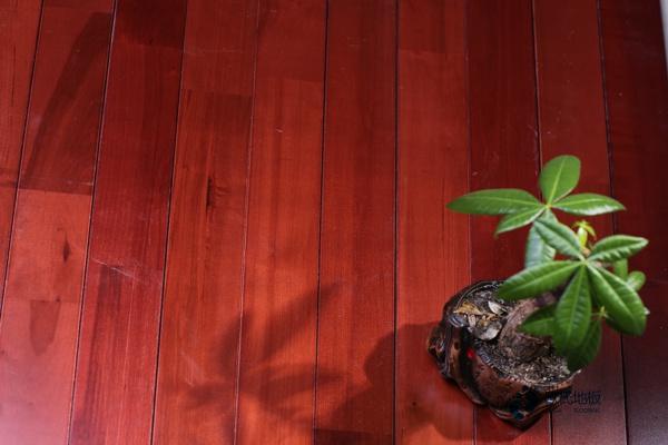 柞木运动篮球木地板价格多少