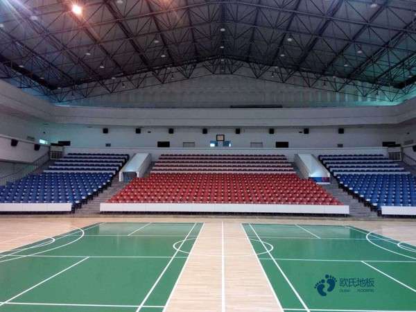 枫桦木运动篮球木地板多少钱