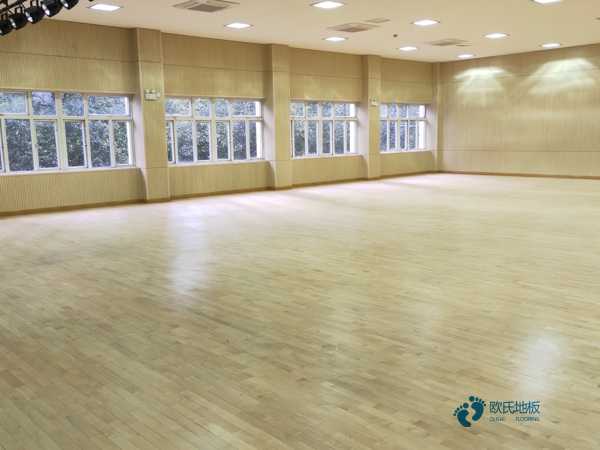 体育专用木地板去体设施网2
