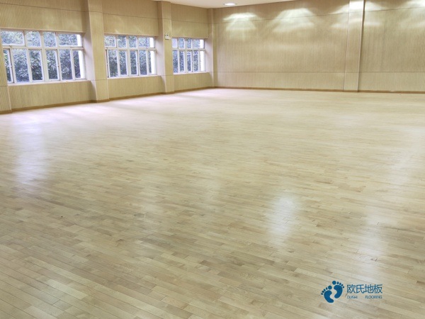 体育专用木地板去体设施网3