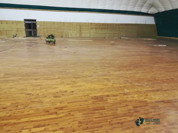 运动木地板修复价格1