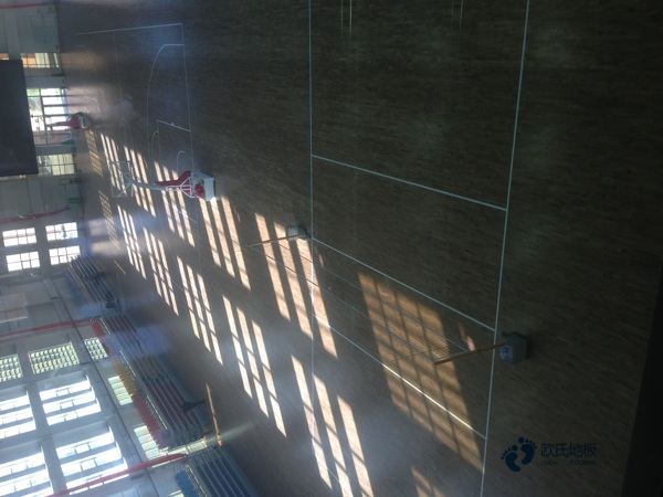 运动木地板今日价格2