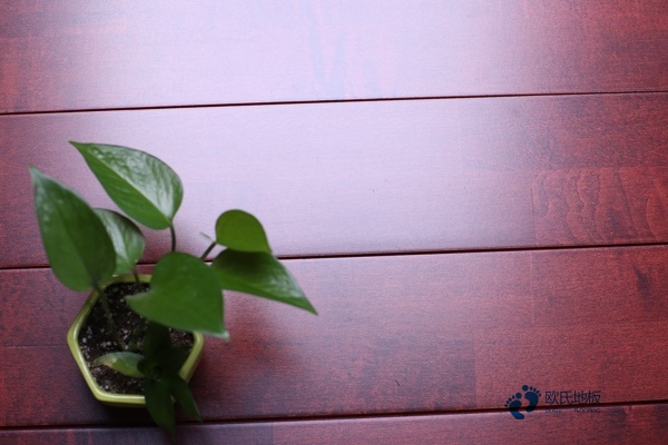 枫木运动篮球木地板多钱一平