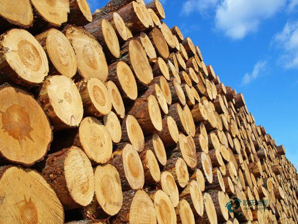 22mm厚篮球体育木地板较好的有哪些牌子1