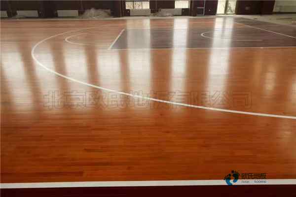 枫桦木运动篮球木地板价格多少钱