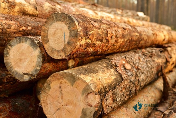 体育馆运动木地板保养3