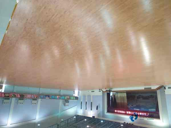 体育馆木地板行业品牌3