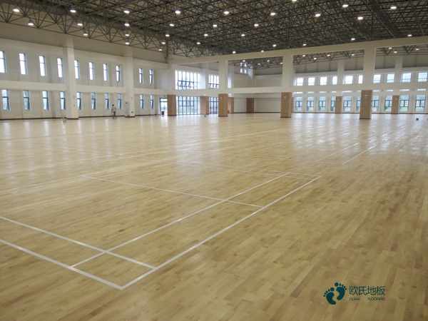 运动木地板安装高度1