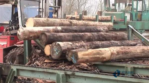 篮球场木地板施工工艺3