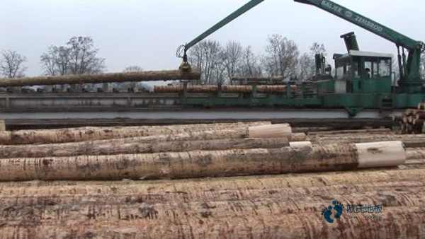 篮球场木地板施工工艺2