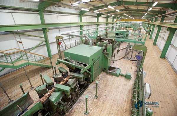 篮球场木地板施工单位2