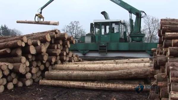 学校篮球场馆地板耐磨系数1