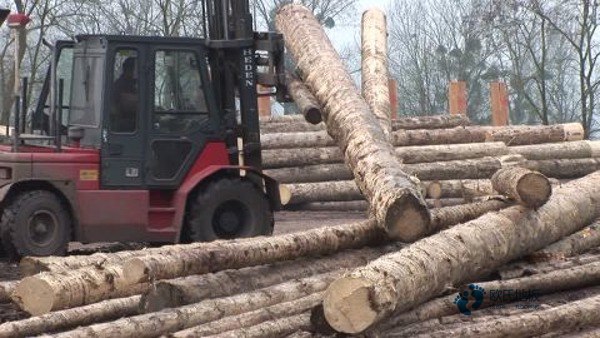 篮球场木地板施工技术要求3