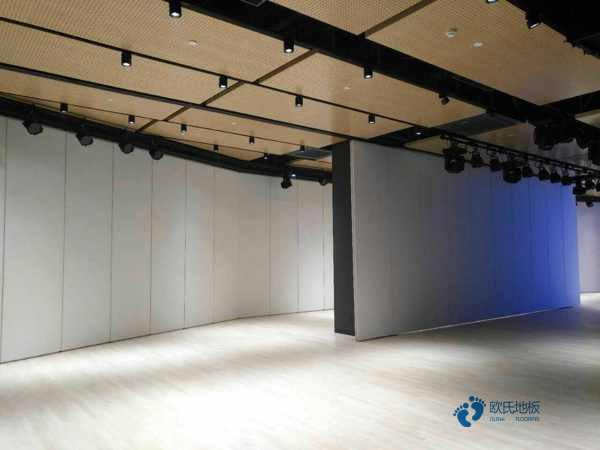 枫桦木运动篮球木地板报价