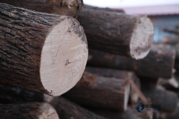 篮球馆枫木运动木地板3