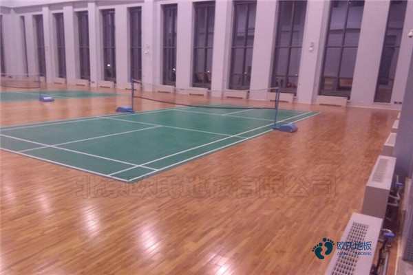枫桦木运动篮球木地板需要多少钱