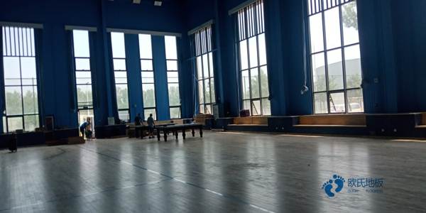 国产运动篮球木地板哪个牌子性价比高