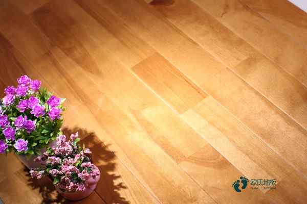 枫木地板铺篮球室1