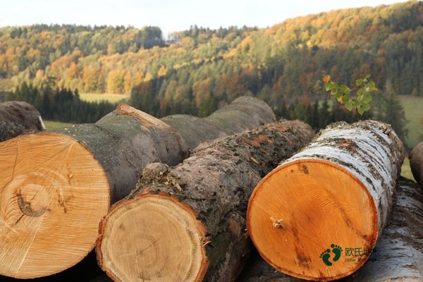 较好的运动篮球木地板每平米价格
