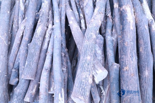 柞木运动篮球木地板价格是多少